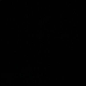 Meet your Posher, Hailey